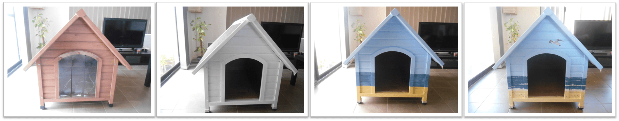 Kennel_Marta_Galindo_process